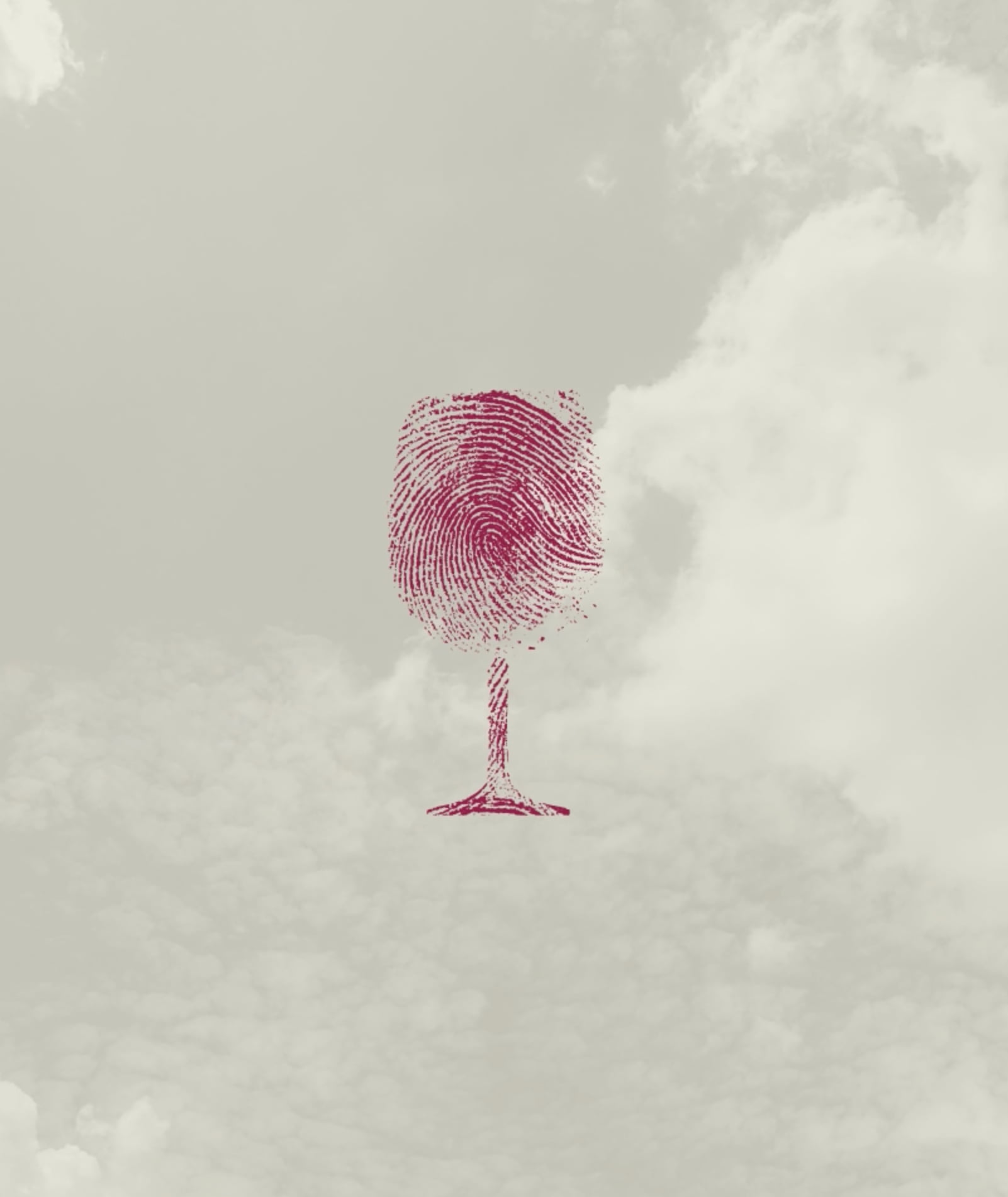 img-case